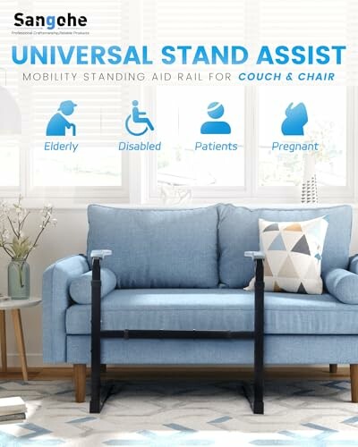 Sangohe Mobility Standing Aid Rail