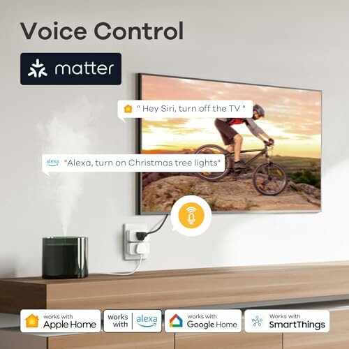 Smart home voice control with Apple Home, Alexa, Google Home, and SmartThings.